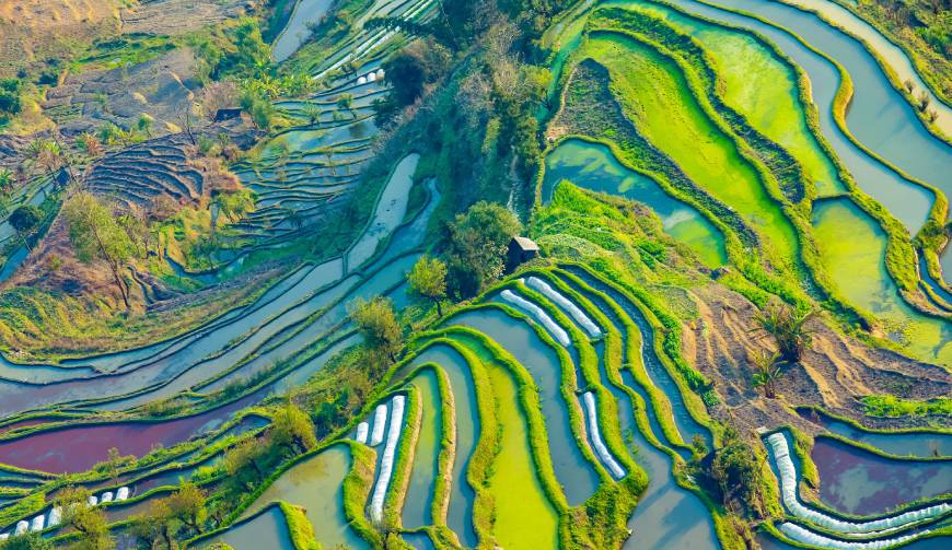 宝妈必备神器：内乡县产品视频拍摄轻松育儿好帮手