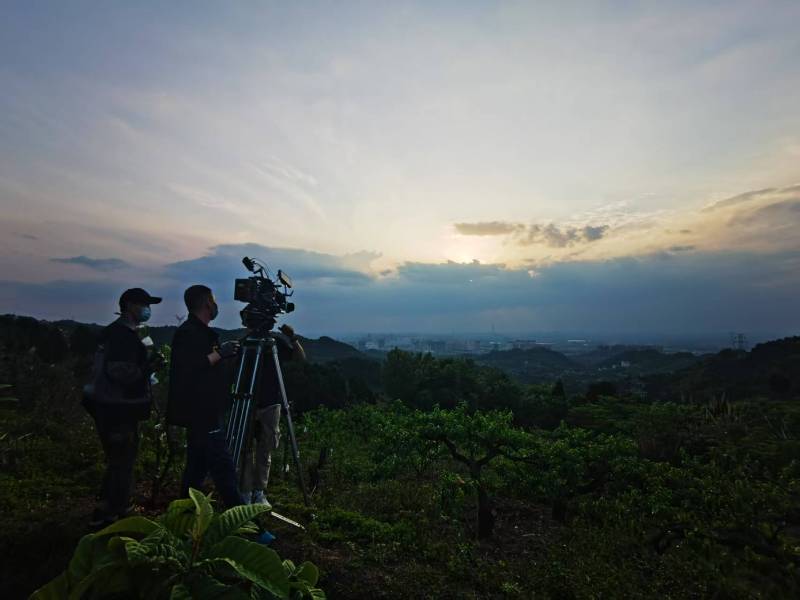 聚焦内乡县产品宣传视频拍摄公司，用专业实力铸就品牌传播传奇