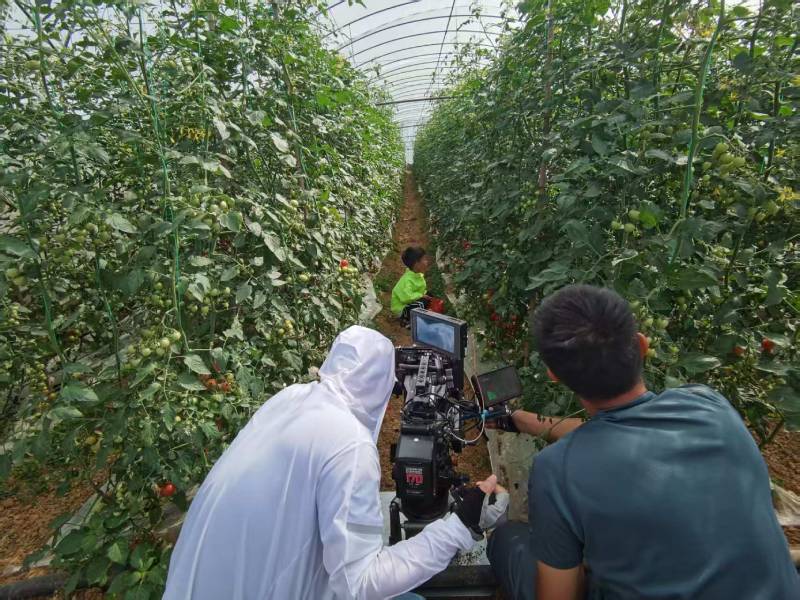 内乡县产品宣传视频拍摄公司进阶指南，助力品牌抢占传播高地